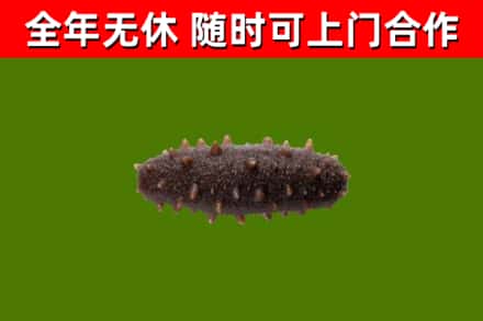 新吴区烟酒回收干海参.jpg